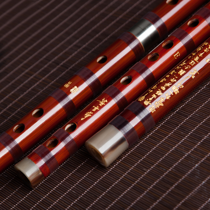 Dong Xuehua 8885 Seruling Bamb - Musical Instrument Sign ulasan dan harga