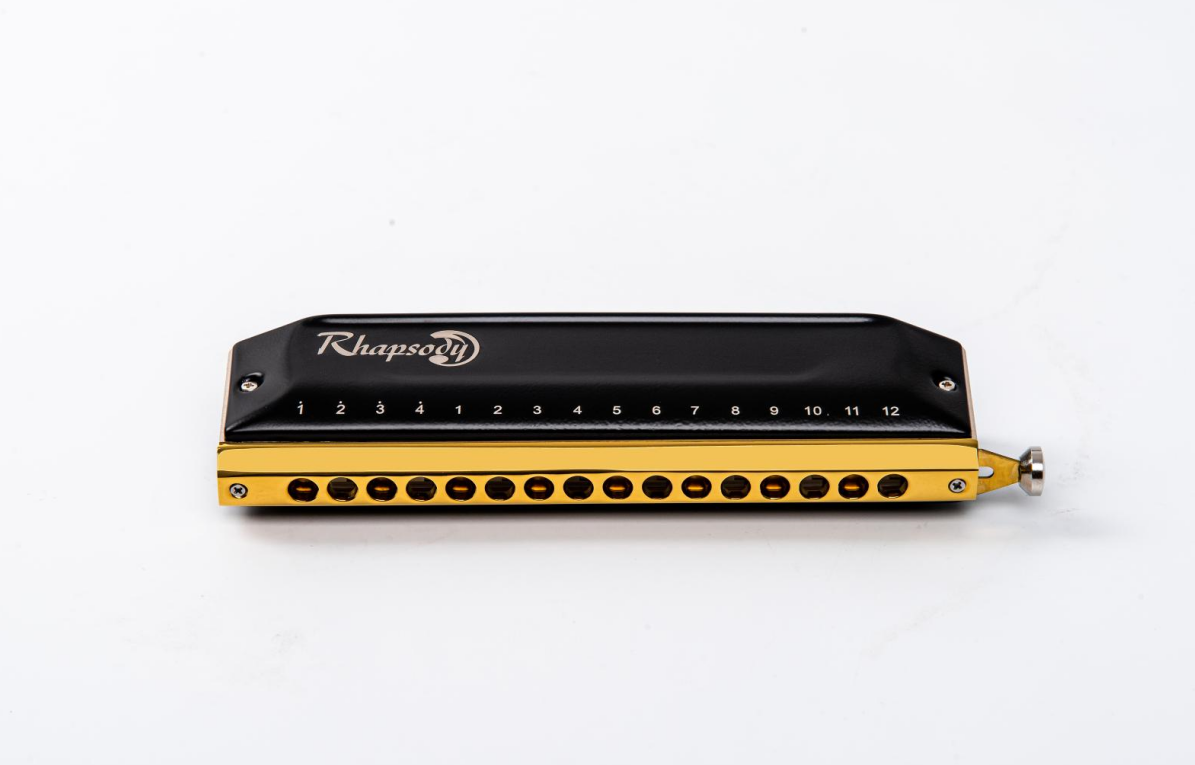 East top sisir harmonika ABS b - Musical Instrument Reed ulasan dan harga